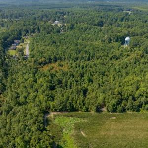 Photo #7 of 26+ AC Nottoway Drive, Courtland, Virginia 26.7 acres