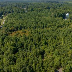 Photo #8 of 26+ AC Nottoway Drive, Courtland, Virginia 26.7 acres