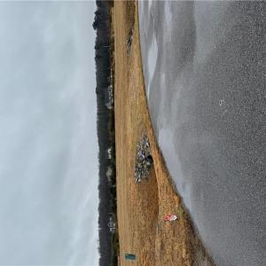 Photo #6 of 2084 Camden Court, Virginia Beach, Virginia 3.0 acres