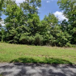 Photo #4 of 9180 Southwestern Boulevard, Suffolk, Virginia 7.4 acres