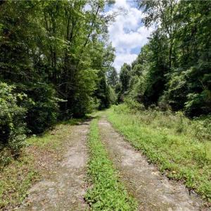 Photo #5 of 9180 Southwestern Boulevard, Suffolk, Virginia 7.4 acres