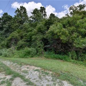 Photo #7 of 9180 Southwestern Boulevard, Suffolk, Virginia 7.4 acres