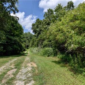 Photo #8 of 9180 Southwestern Boulevard, Suffolk, Virginia 7.4 acres