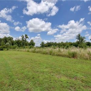 Photo #9 of 9180 Southwestern Boulevard, Suffolk, Virginia 7.4 acres