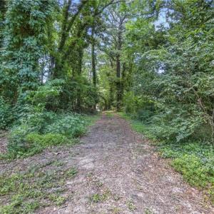 Looking down drive from the clearing toward the street