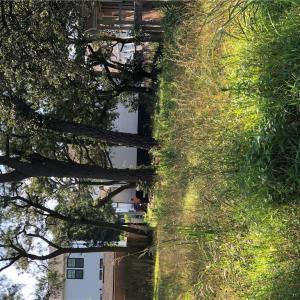 Photo #4 of 2405 PRETTY LAKE Avenue, Norfolk, Virginia