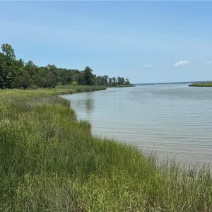 Photo #12 of 31-27 Hog Island Road, Surry, Virginia 12.2 acres