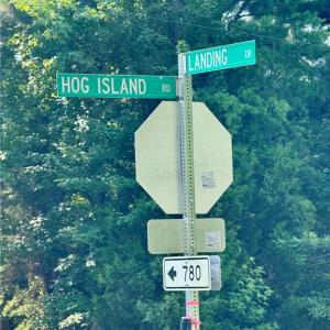 Photo #5 of 31-27 Hog Island Road, Surry, Virginia 12.2 acres