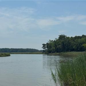 Photo #9 of 31-27 Hog Island Road, Surry, Virginia 12.2 acres