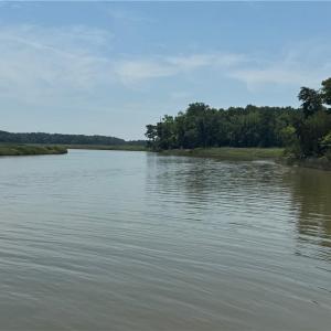 Photo #10 of 31-27 Hog Island Road, Surry, Virginia 12.2 acres