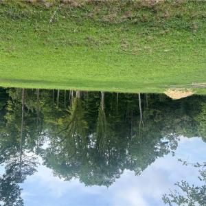 Photo #2 of 1.1+AC Minnesota Avenue, Claremont, Virginia 1.1 acres