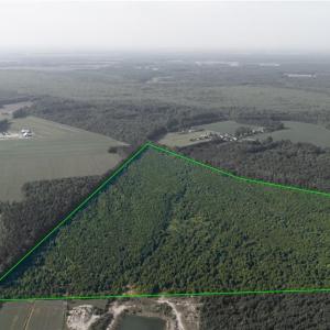 Photo #5 of Lot 14 Taft Road, Chesapeake, Virginia 100.0 acres