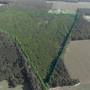 Photo #3 of Lot 14 Taft Road, Chesapeake, Virginia 100.0 acres