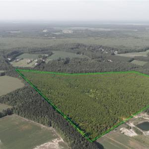 Photo #4 of Lot 14 Taft Road, Chesapeake, Virginia 100.0 acres