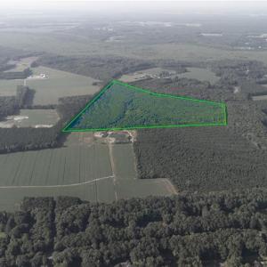 Photo #8 of Lot 14 Taft Road, Chesapeake, Virginia 100.0 acres