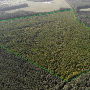 Photo #2 of Lot 14 Taft Road, Chesapeake, Virginia 100.0 acres