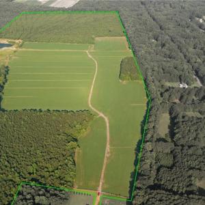 Photo #3 of 168 AC St. Brides Road, Chesapeake, Virginia 168.0 acres