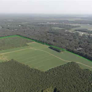 Photo #7 of 168 AC St. Brides Road, Chesapeake, Virginia 168.0 acres
