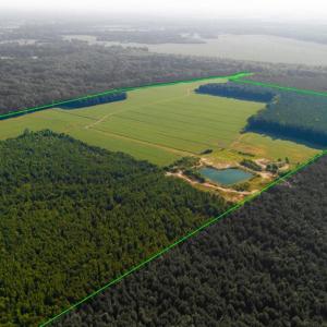 Photo #4 of 168 AC St Brides Road, Chesapeake, Virginia 168.0 acres