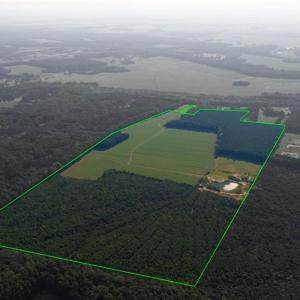 Photo #8 of 168 AC St Brides Road, Chesapeake, Virginia 168.0 acres