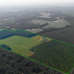Photo #9 of 168 AC St Brides Road, Chesapeake, Virginia 168.0 acres