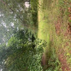 Photo #3 of 2702 Cedar Road, Chesapeake, Virginia 0.7 acres