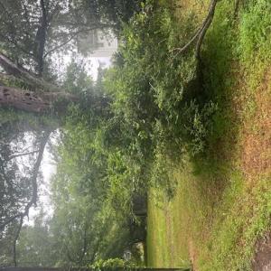 Photo #5 of 2702 Cedar Road, Chesapeake, Virginia 0.7 acres
