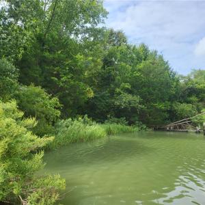 Photo #2 of 201 Walters Lane, Yorktown, Virginia 2.7 acres