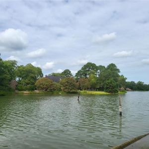 Photo #3 of 201 Walters Lane, Yorktown, Virginia 2.7 acres