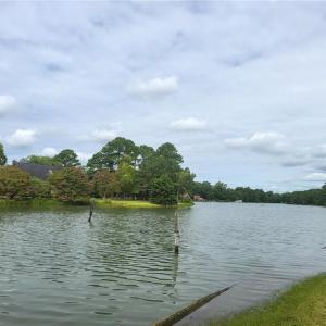 Photo #4 of 201 Walters Lane, Yorktown, Virginia 2.7 acres