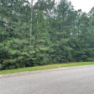 Photo #2 of 5300 Linkshire Lane, Providence Forge, Virginia 0.4 acres