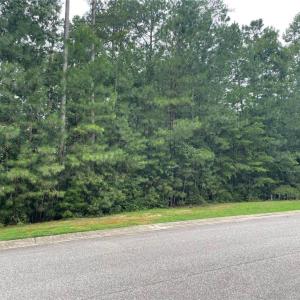 Photo #3 of 5300 Linkshire Lane, Providence Forge, Virginia 0.4 acres