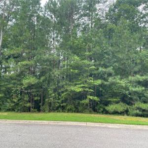 Photo #4 of 5300 Linkshire Lane, Providence Forge, Virginia 0.4 acres