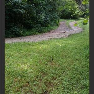 Photo #1 of 445 Davenport Road, Cumberland, Virginia