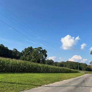 Cropland and mature hardwoods.