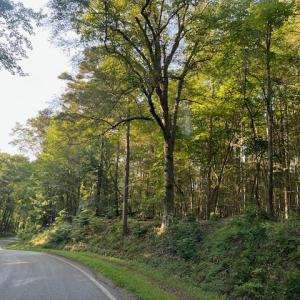 Over 3000 ft. of frontage on Alliance and Chippokes Farm Roads.