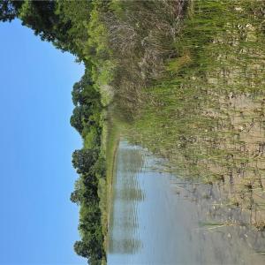 Photo #3 of 2 acr Horn Harbor Avenue, New Point, Virginia 2.0 acres