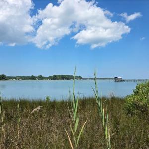 Photo #4 of 2 acr Horn Harbor Avenue, New Point, Virginia 2.0 acres