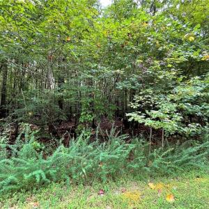 Photo #8 of 10+ac Beech Creek  (10.88ac) Road, Gloucester, Virginia 10.9 acres