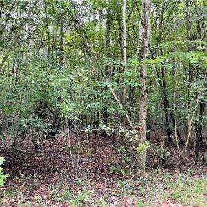 Photo #9 of 10+ac Beech Creek  (10.88ac) Road, Gloucester, Virginia 10.9 acres
