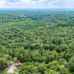 Photo #1 of 10+ac Beech Creek  (10.88ac) Road, Gloucester, Virginia 10.9 acres