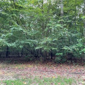 Photo #4 of 10+ac Beech Creek  (10.88ac) Road, Gloucester, Virginia 10.9 acres