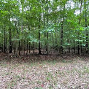 Photo #10 of 10+ac Beech Creek  (10.88ac) Road, Gloucester, Virginia 10.9 acres