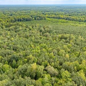 Photo #3 of 10+ac Beech Creek  (10.88Ac) Road, Gloucester, Virginia 10.9 acres