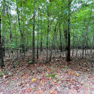 Photo #5 of 10+ac Beech Creek  (10.88Ac) Road, Gloucester, Virginia 10.9 acres