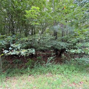 Photo #7 of 10+ac Beech Creek  (10.88Ac) Road, Gloucester, Virginia 10.9 acres