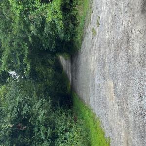 Photo #4 of 9-22 Deer Ridge Trail, Spring Grove, Virginia 10.0 acres