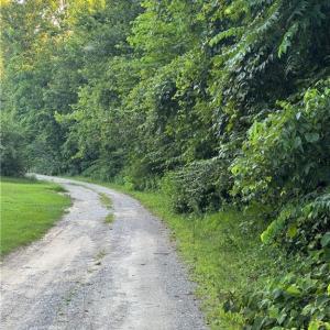 Photo #5 of 9-22 Deer Ridge Trail, Spring Grove, Virginia 10.0 acres