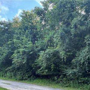 Photo #6 of 9-22 Deer Ridge Trail, Spring Grove, Virginia 10.0 acres