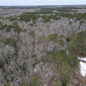 Photo #12 of Lot 11 Featherbed Lane, Gloucester, Virginia 11.3 acres